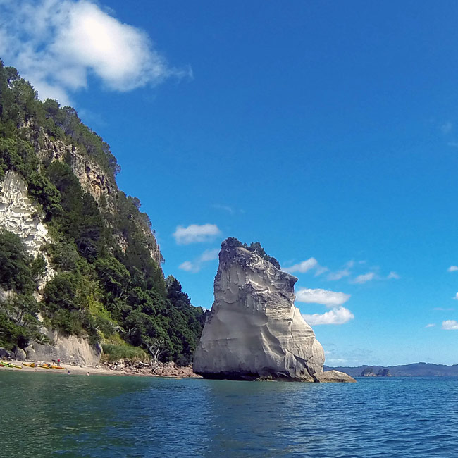 Cathedral Cove Scenic Cruises