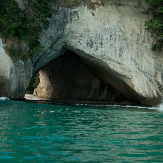 Cathedral Cove Scenic Cruises