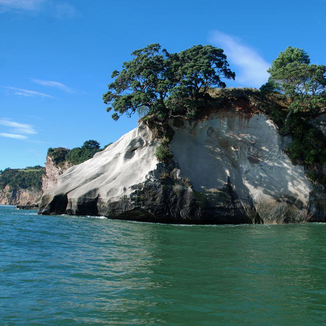 Cathedral Cove Scenic Cruises