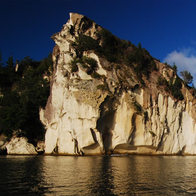 Cathedral Cove Scenic Cruises