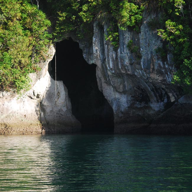 Cathedral Cove Scenic Cruises