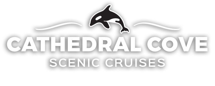 Cathedral Cove Scenic Cruises