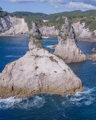 Cathedral Cove Scenic Cruises