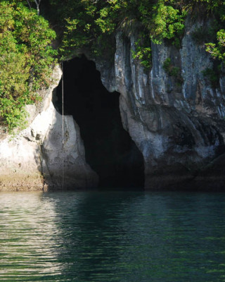 Cooks Blow Hole - Cathedral Cove Scenic Cruises